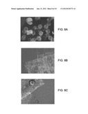 CELL CARRIER, METHODS OF MAKING AND USE diagram and image