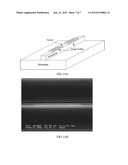 SWEPT-FREQUENCY SEMICONDUCTOR LASER COUPLED TO MICROFABRICATED     BIOMOLECULAR SENSOR AND METHODS RELATED THERETO diagram and image