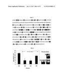 METHOD FOR DETERMINING PROTEIN-NUCLEIC ACID INTERACTION diagram and image