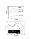 METHOD FOR DETERMINING PROTEIN-NUCLEIC ACID INTERACTION diagram and image