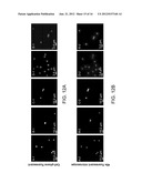 COMPACT WIDE-FIELD FLUORESCENT IMAGING ON A MOBILE DEVICE diagram and image