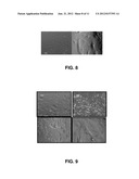 BIOPOLYMER, IMPLANT COMPRISING IT AND USES THEREOF diagram and image