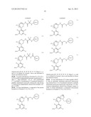 HETEROARYL BTK INHIBITORS diagram and image