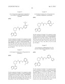 HETEROARYL BTK INHIBITORS diagram and image