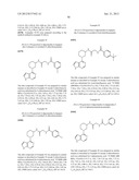 HETEROARYL BTK INHIBITORS diagram and image