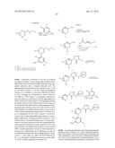 BRUTON S TYROSINE KINASE INHIBITORS diagram and image