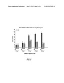 Compounds And Compositions For Treating Cancer diagram and image