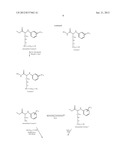 Hydroxamic acid derivatives of aniline useful as therapeutic agents for     treating anthrax poisoning diagram and image