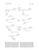 Hydroxamic acid derivatives of aniline useful as therapeutic agents for     treating anthrax poisoning diagram and image