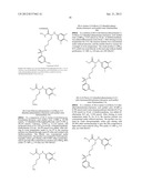 Hydroxamic acid derivatives of aniline useful as therapeutic agents for     treating anthrax poisoning diagram and image