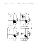 TARGETING EN2, PAX2, AND/OR DEFB1 FOR TREATMENT OF PROSTATE CONDITIONS diagram and image