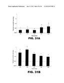 TARGETING EN2, PAX2, AND/OR DEFB1 FOR TREATMENT OF PROSTATE CONDITIONS diagram and image