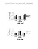 TARGETING EN2, PAX2, AND/OR DEFB1 FOR TREATMENT OF PROSTATE CONDITIONS diagram and image