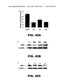 TARGETING EN2, PAX2, AND/OR DEFB1 FOR TREATMENT OF PROSTATE CONDITIONS diagram and image