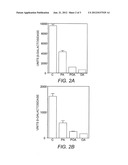 Composition and Method for Prevention, Mitigation or Treatment of an     Enteropathogenic Bacterial Infection diagram and image