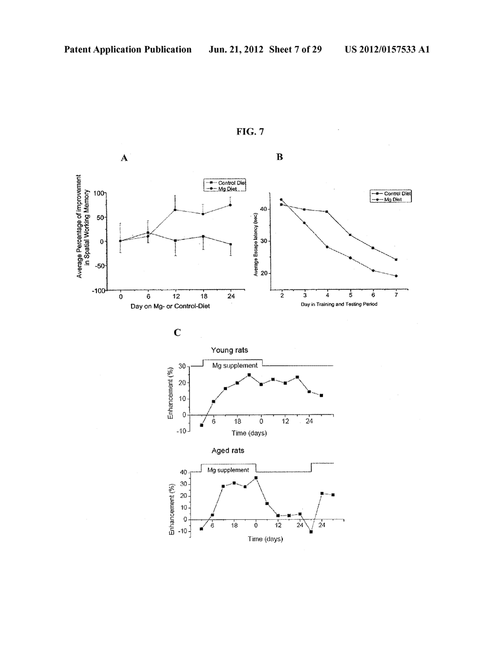 Magnesium Compositions and Uses Thereof for Metabolic Disorders - diagram, schematic, and image 08