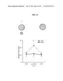 Magnesium Compositions and Uses Thereof for Metabolic Disorders diagram and image