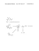 WATER SOLUBLE SOLID PHASE PEPTIDE SYNTHESIS diagram and image