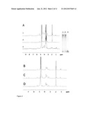 K5 HEPAROSAN FERMENTATION AND PURIFICATION diagram and image