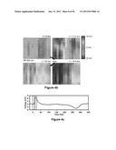 High-Speed, High-Resolution Electrophysiology In-Vivo Using Conformal     Electronics diagram and image