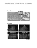 High-Speed, High-Resolution Electrophysiology In-Vivo Using Conformal     Electronics diagram and image