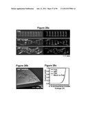 High-Speed, High-Resolution Electrophysiology In-Vivo Using Conformal     Electronics diagram and image