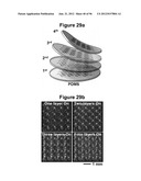 High-Speed, High-Resolution Electrophysiology In-Vivo Using Conformal     Electronics diagram and image