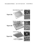 High-Speed, High-Resolution Electrophysiology In-Vivo Using Conformal     Electronics diagram and image