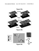 High-Speed, High-Resolution Electrophysiology In-Vivo Using Conformal     Electronics diagram and image