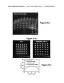 High-Speed, High-Resolution Electrophysiology In-Vivo Using Conformal     Electronics diagram and image