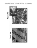 High-Speed, High-Resolution Electrophysiology In-Vivo Using Conformal     Electronics diagram and image