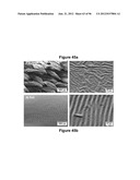 High-Speed, High-Resolution Electrophysiology In-Vivo Using Conformal     Electronics diagram and image