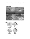 High-Speed, High-Resolution Electrophysiology In-Vivo Using Conformal     Electronics diagram and image