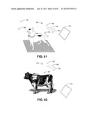 Ablative technique using compton scattered x-ray visualizing, imaging, or     information providing based on matter material density diagram and image