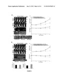 METHODS USING AXL AS A BIOMARKER OF EPITHELIAL-TO-MESENCHYMAL TRANSITION diagram and image