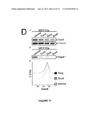 METHODS USING AXL AS A BIOMARKER OF EPITHELIAL-TO-MESENCHYMAL TRANSITION diagram and image