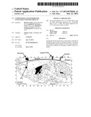 COMPOSITIONS AND METHODS FOR EVALUATING COGNITIVE DEFECTS diagram and image