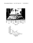 COMPOSITIONS AND METHODS FOR EVALUATING COGNITIVE DEFECTS diagram and image