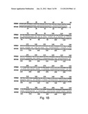 T-Bet Compositions and Methods of Use Thereof diagram and image