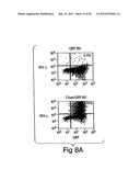 T-Bet Compositions and Methods of Use Thereof diagram and image