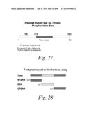 T-Bet Compositions and Methods of Use Thereof diagram and image