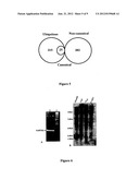 Polynucleotides derived from chickpea and uses thereof diagram and image