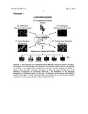 Sequence-determined DNA fragments and corresponding polypeptides encoded     thereby diagram and image