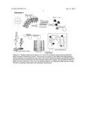 Sequence-determined DNA fragments and corresponding polypeptides encoded     thereby diagram and image