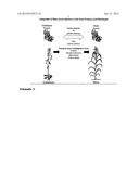 Sequence-determined DNA fragments and corresponding polypeptides encoded     thereby diagram and image