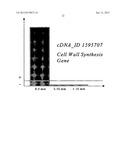 Sequence-determined DNA fragments and corresponding polypeptides encoded     thereby diagram and image