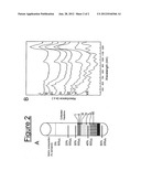 SEPARATION OF CARBON NANOTUBES INTO CHIRALLY ENRICHED FRACTIONS diagram and image