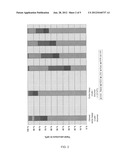 PROCESS diagram and image