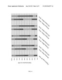 PROCESS diagram and image