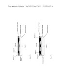 METHOD OF FORMING A PHOTONIC CRYSTAL MATERIAL diagram and image